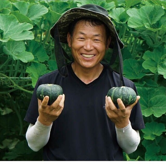 영월 동강애 고향밥상,영월 무농약 단호박 5kg - 단호박라떼, 단호박죽용