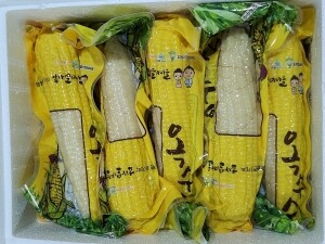 영월 냉동 찰옥수수 간편하게 즐기는 영월의 맛 고향의 맛 임산부 간식 추천