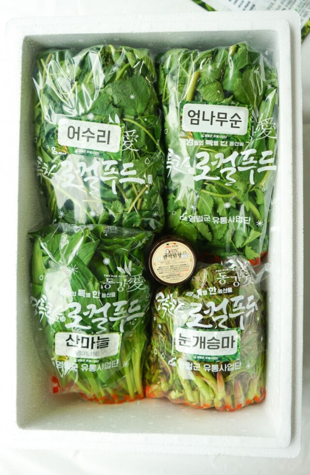 영월 동강애,2025년 봄나물 영특한 산채꾸러미 세트 동강애