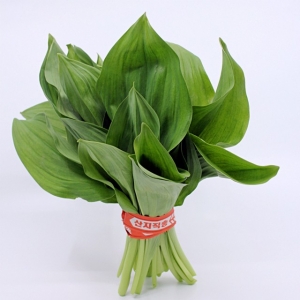 명이나물(산마늘) 2kg